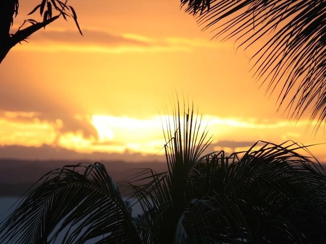 Have wheelbarrow, will&nbsp;travel