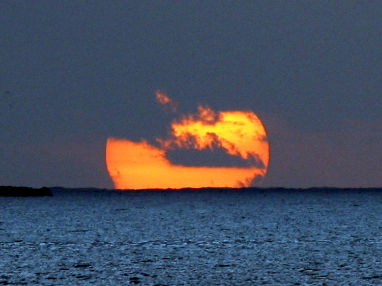 Something for everyone